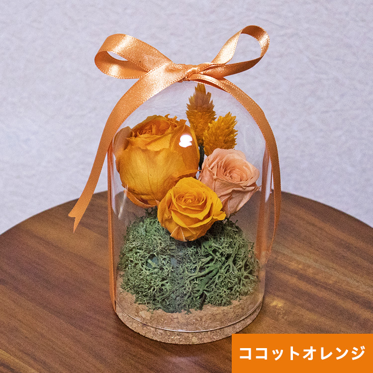 手のひらサイズの プリザーブドフラワー ドーム型 小型サイズ 瓶に入ったお花 dm771 Version02 ほこりがつきにくい |  | 14