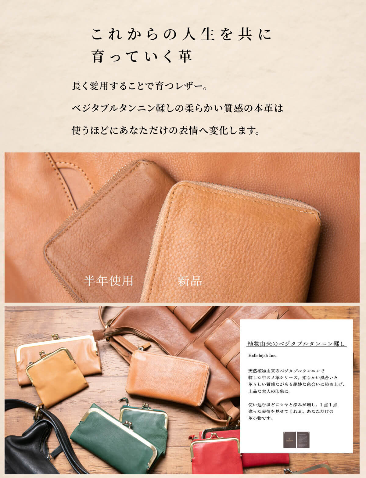 長財布 レディース 本革 L字ファスナー 「TIDY2.0 Mollis タイディ2 モリス」 小さい長財布 革財布 ハレルヤ hallelujah  : tidy-wallet-mollis : 財布 バッグ 本革 Hallelujah - 通販 - Yahoo!ショッピング