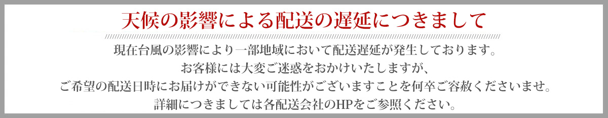 博多おでん　調理済み １人前　６種　５００ｇ×１０袋セット  あごだし 卵 大根 こんにゃく ごぼう天 ちくわ　やきやま（北海道・沖縄別途送料）