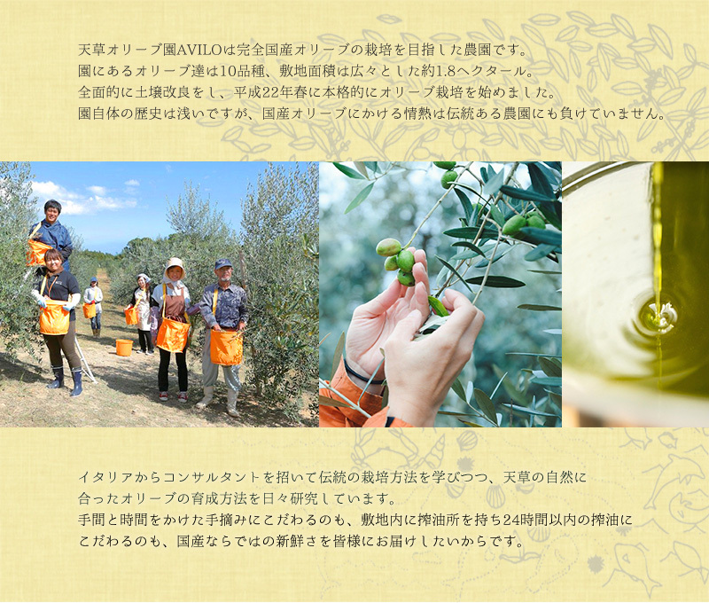 天草オリーブ園 天草スペシャルブレンド＆バルサミコ酢セット