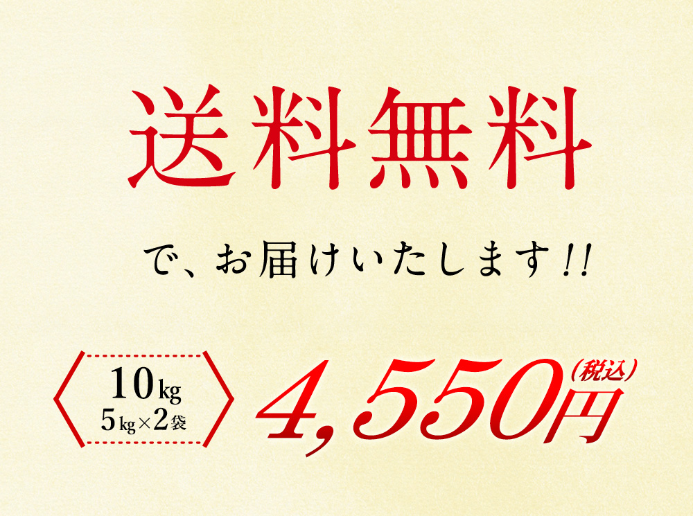 新米 北海道産 ゆめぴりか 10kg（5kg×2袋）/ 送料無料 令和5年度産 お