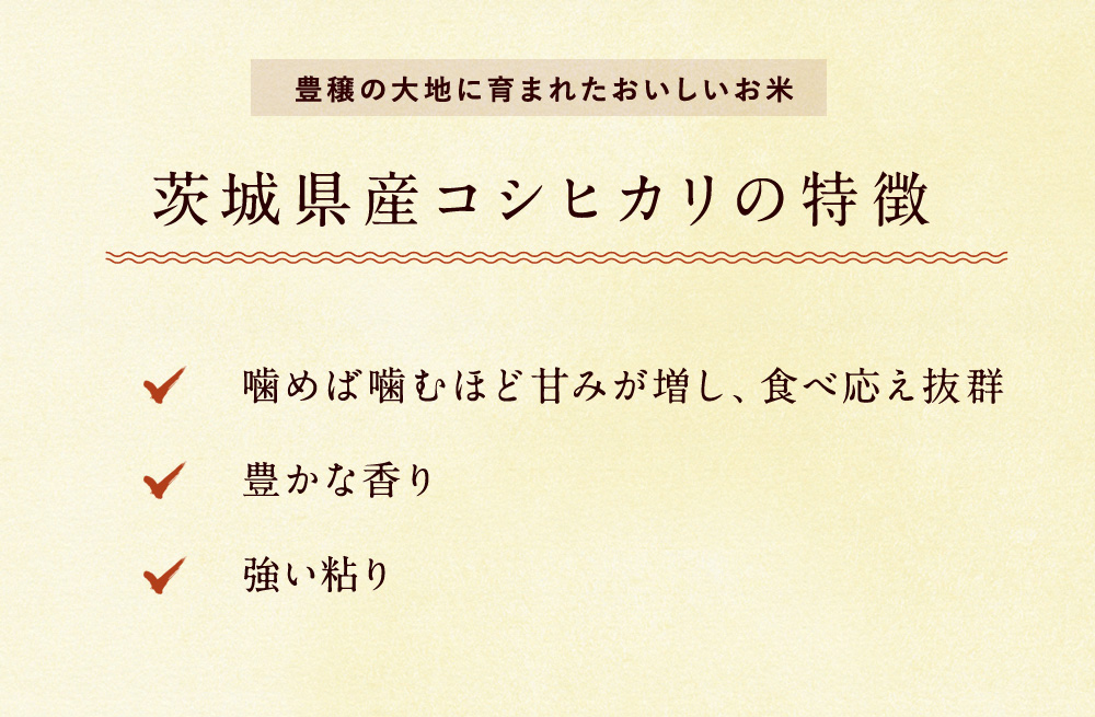 新米 茨城県産 コシヒカリ 20kg（5kg×4袋）/ 送料無料 令和5年産 精米