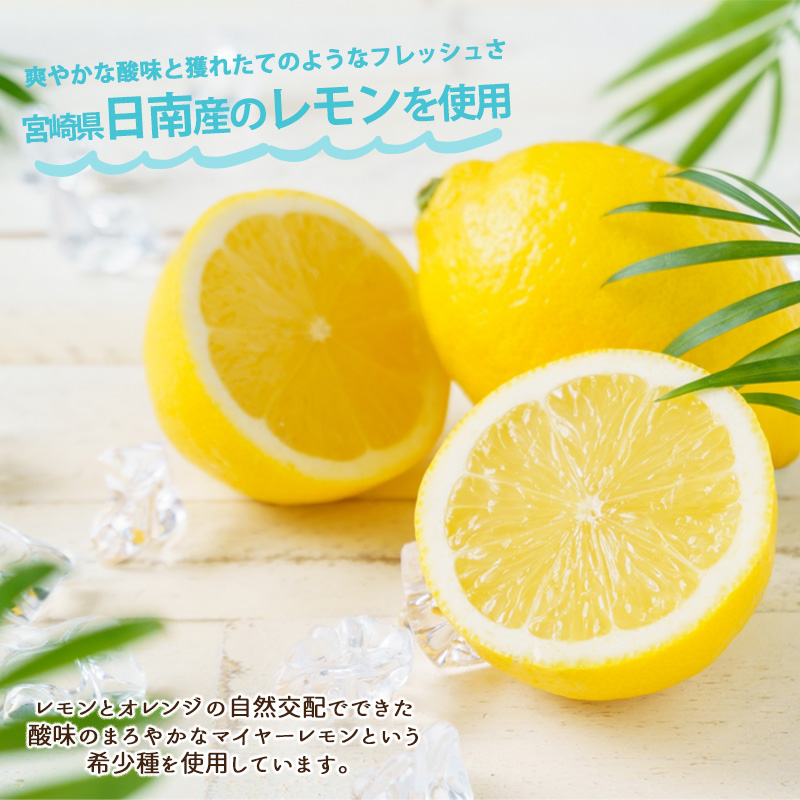 れもんケーキ 5個入 / オッティモ あんでる船 /宮崎 名産品 洋菓子 手