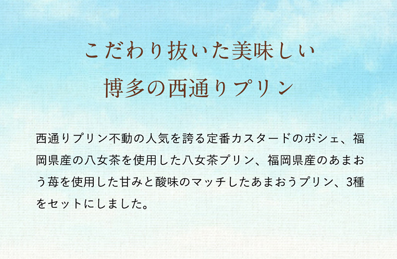 ぷりん様用　まとめ売り　2点 プリンセレクションセット NP-07 / 送料無料 西通りプリン 西原商会