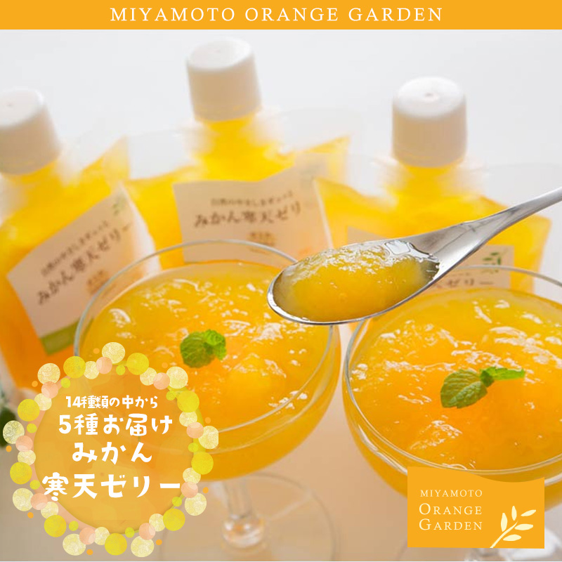 ミヤモトオレンジガーデン みかん寒天ゼリー ギフトセット5本入り 送料