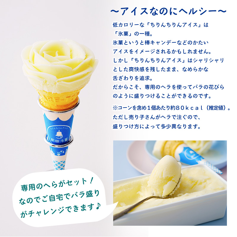 前田冷菓 ちりんちりんアイス・ファミリーセット（プレーン）送料無料