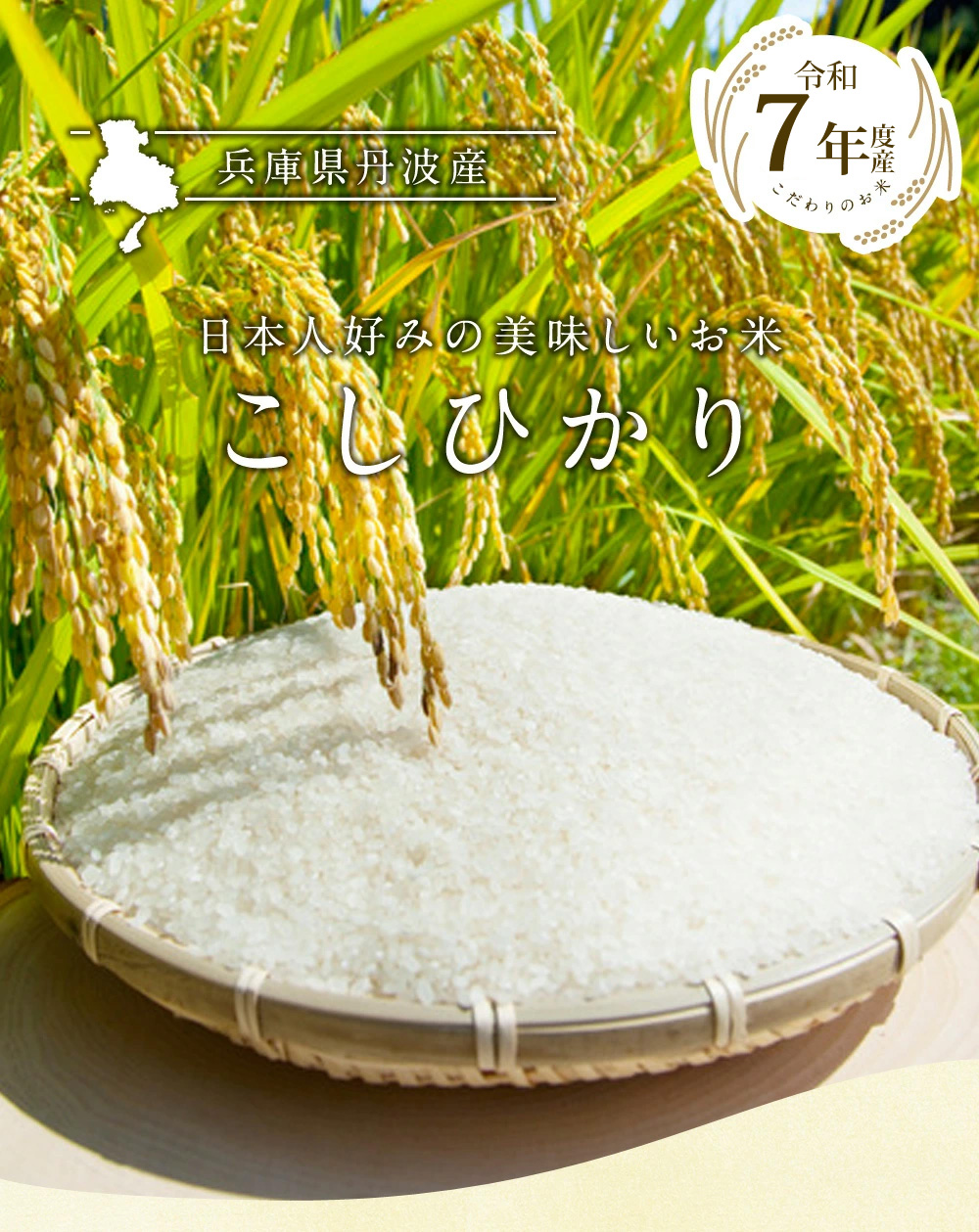 ポイント5倍】丹波産（兵庫県）コシヒカリ10kg（5kg×2袋） 送料無料 令
