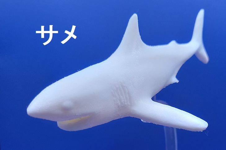 立体ぬりえ イルカ サメ カエル&カタツムリ 「立体ぬりぬり」 自由に 世界に1つ 自分だけ フィギュア |  | 02