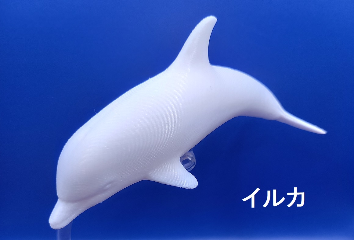 立体ぬりえ イルカ サメ カエル&カタツムリ 「立体ぬりぬり」 自由に 世界に1つ 自分だけ フィギュア |  | 01