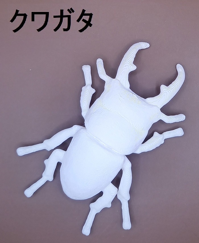 立体ぬりえ 昆虫 カブトムシ クワガタ バッタ 「立体ぬりぬり」 フィギュア 自由に 世界に1つ 自分だけ フィギュア |  | 02