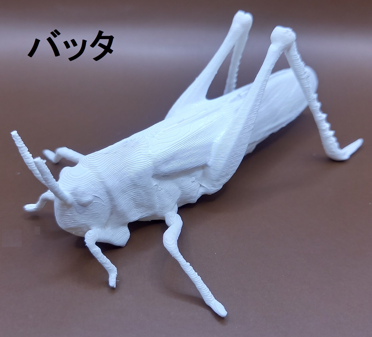 立体ぬりえ 昆虫 カブトムシ クワガタ バッタ 「立体ぬりぬり」 フィギュア 自由に 世界に1つ 自分だけ フィギュア |  | 03