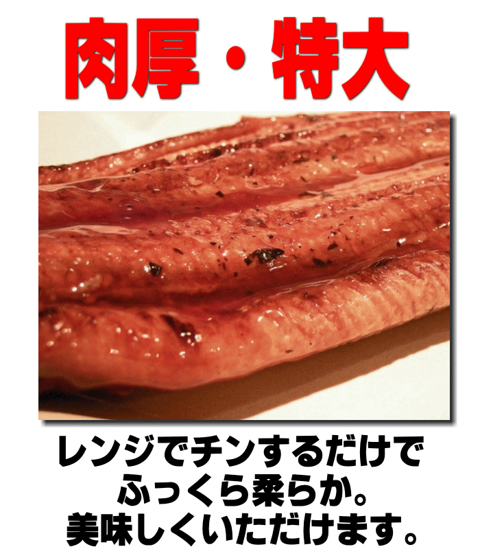 うなぎ蒲焼 中国産 有頭特大10kg（40〜41尾）業務用【お中元】【贈り物】 /【Buyee】 