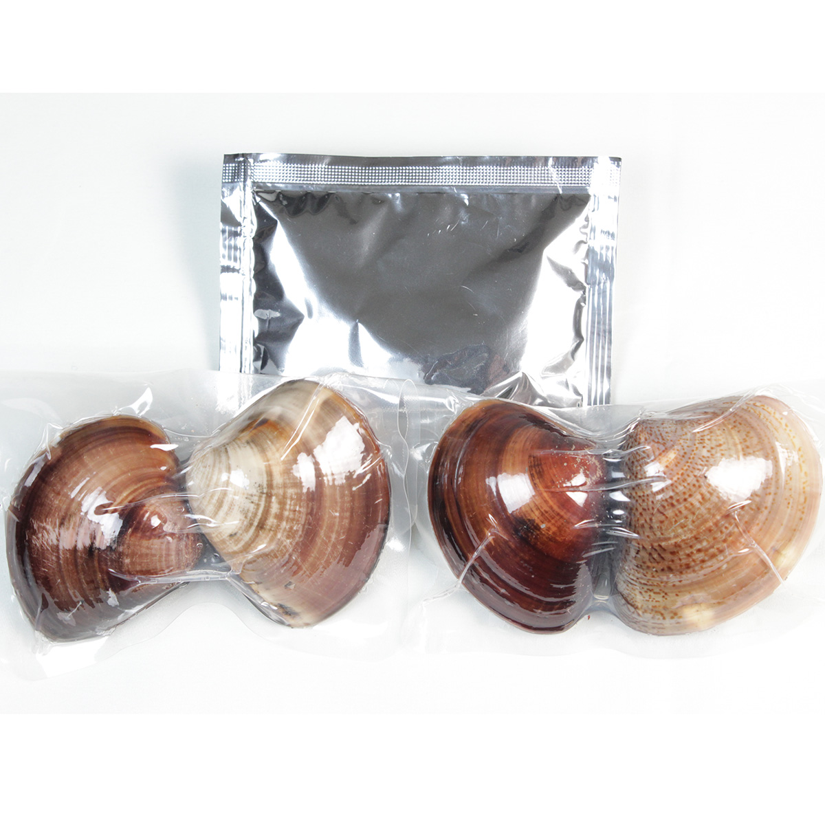 桑名産天然はまぐり５年もの　お鍋セット