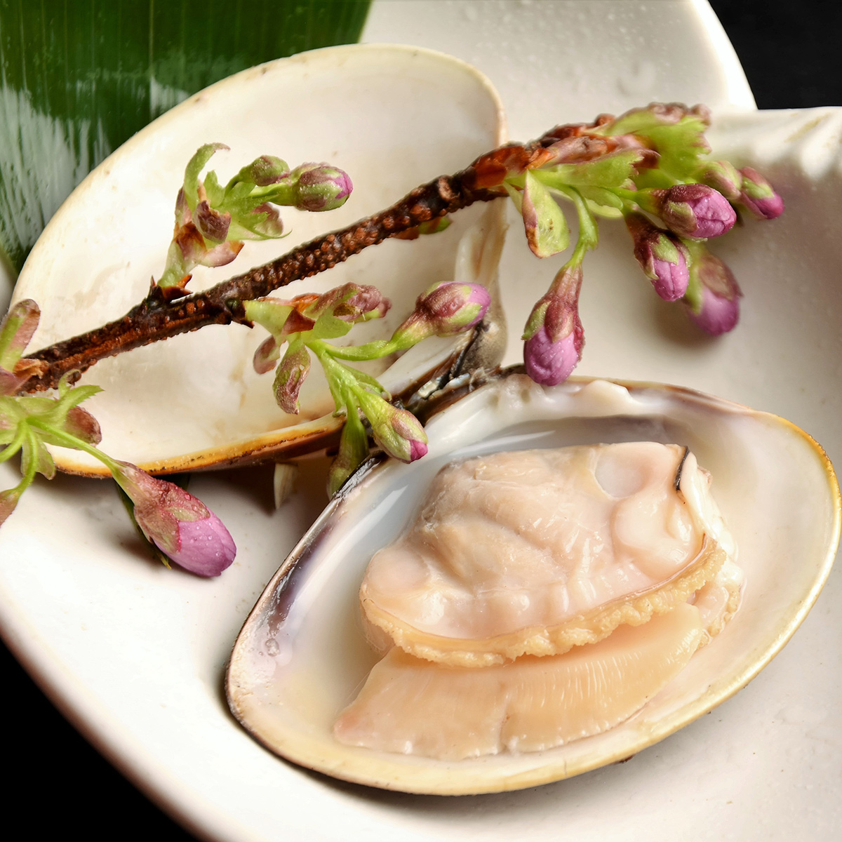 桑名産天然はまぐりレトルト