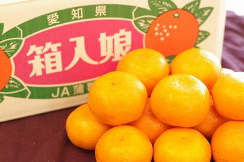 箱入娘みかん販売 愛知県蒲郡産 お歳暮みかん通販でお取り寄せ 糖度12