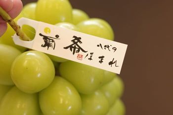 八代の葡希ほまれ 最上級 シャインマスカットぶどう通販 JAふえふき