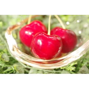 【紅王本日最終】山形県産さくらんぼ やまがた紅王 3L 3kg やまがた紅王 さくらんぼ通販 3L〜4L 100g約8粒〜約12粒×2パック入