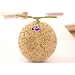 飯岡タカミメロン通販 千葉産。貴味メロンを販売取寄 果物お中元ギフト