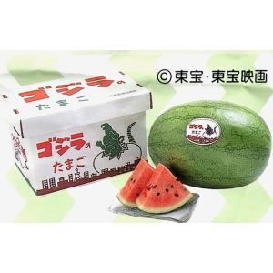 474.数量限定希少黄肉小玉西瓜スイカ6玉入り箱込み9.5Kg前後 先行受付】黄色スイカ 金色羅皇 4Lサイズ 約9kg×1玉 令和8年産 kb