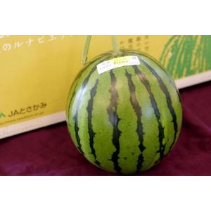 ゴジラのたまご西瓜販売 北海道月形町大玉スイカを通販で取寄。化粧箱