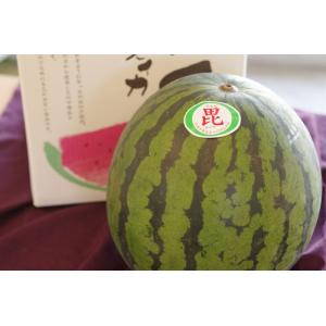ゴジラのたまご西瓜販売 北海道月形町大玉スイカを通販で取寄。化粧箱