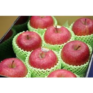 飛馬（ひうま）ふじりんご通信販売 青森県弘前市相馬村産の糖度14度