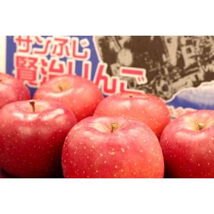江刺りんご通信販売 岩手県サンふじ御歳暮に JA江刺富士林檎 糖度14度