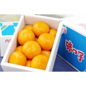 小太郎みかん通販 愛媛県川上共選の味ピカ越冬みかん販売 糖度約