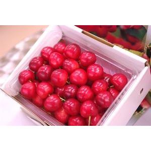 皇寿（こうじゅ）すもも｜山梨県産限定の高級プラム販売｜約7玉〜約9玉