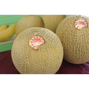 皇寿（こうじゅ）すもも｜山梨県産限定の高級プラム販売｜約7玉〜約9玉