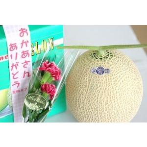 皇寿（こうじゅ）すもも｜山梨県産限定の高級プラム販売｜約7玉〜約9玉