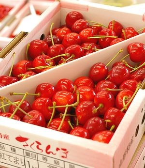 紅てまりさくらんぼ 山形産 新品種 L〜3L 1kgバラ詰め : 果物
