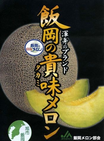飯岡タカミメロン通販 千葉産。貴味メロンを販売取寄 果物お中元ギフト