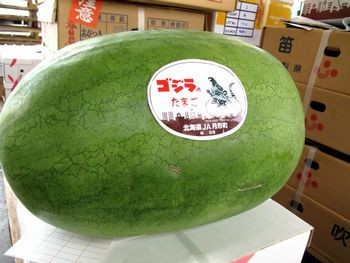 ゴジラのたまご西瓜販売 北海道月形町大玉スイカを通販で取寄。化粧箱