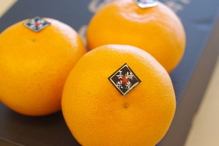 匠の味 せとか マルナン 長崎県産 約2kg 約5玉〜約8玉 : 果物百貨店
