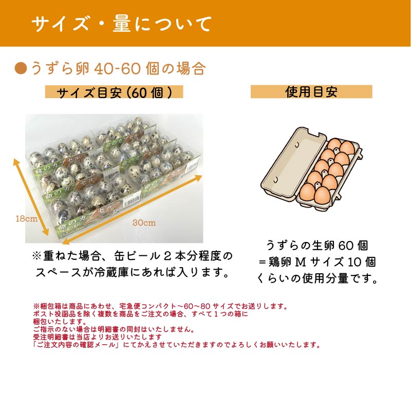 商品画像11