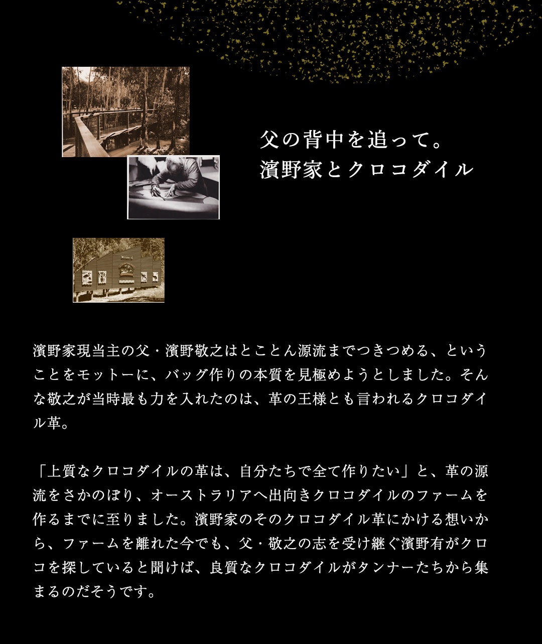 【傳濱野】≪メンズ≫縁起を尽くした、濱野家オリジナルの「験担ぎ」財布　FELIX CROCO（フェリクス クロコ）クロコダイル長財布の画像