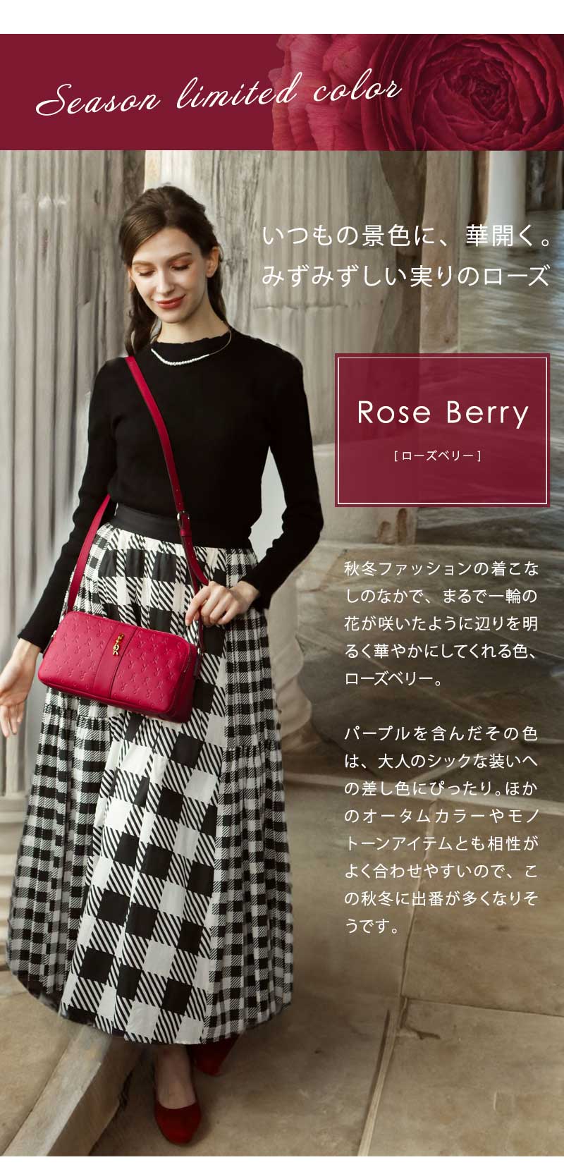 ROBERTA DI CAMERINO（ロベルタ・ディ・カメリーノ） 【ロベルタ】人気