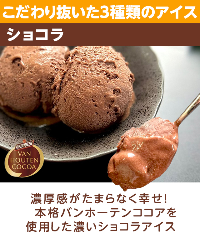 アイス アイスクリーム 濃いアイス 大容量 1リットル ショコラ ストロベリー バルク チョコレート 苺 いちご 業務用 安い 濃厚 おためし