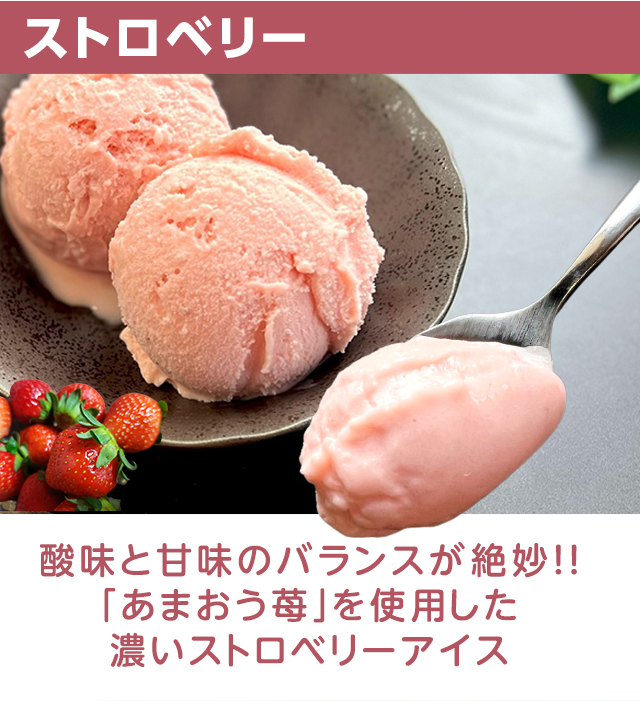 アイス アイスクリーム 濃いアイス 大容量 1リットル ショコラ ストロベリー バルク チョコレート 苺 いちご 業務用 安い 濃厚 おためし