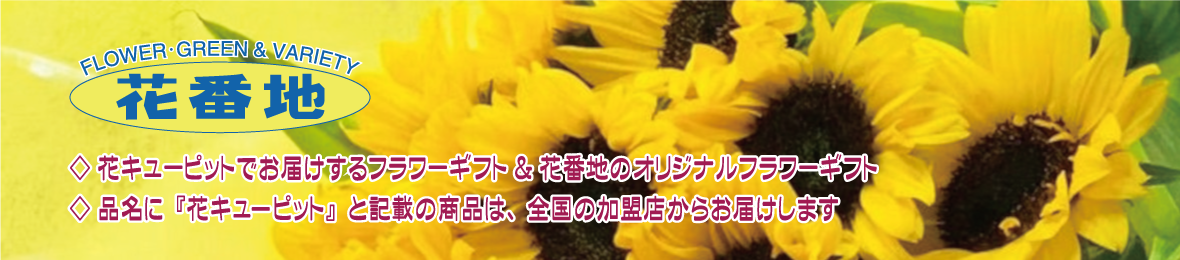 花番地 Yahoo!ショップ ヘッダー画像