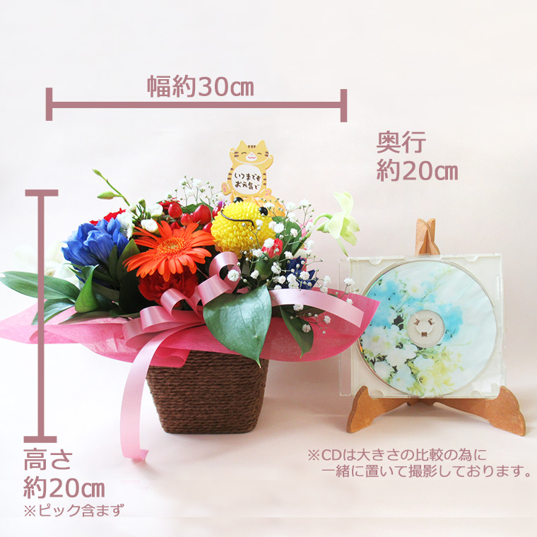サイズ