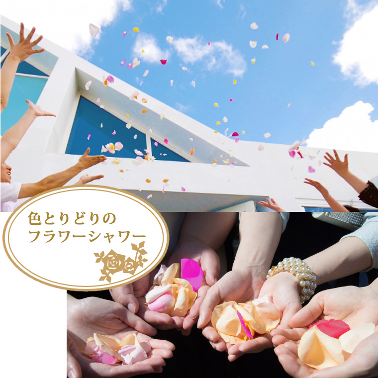 フラワーシャワーについて