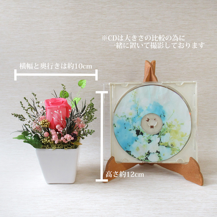 CDとサイズ
