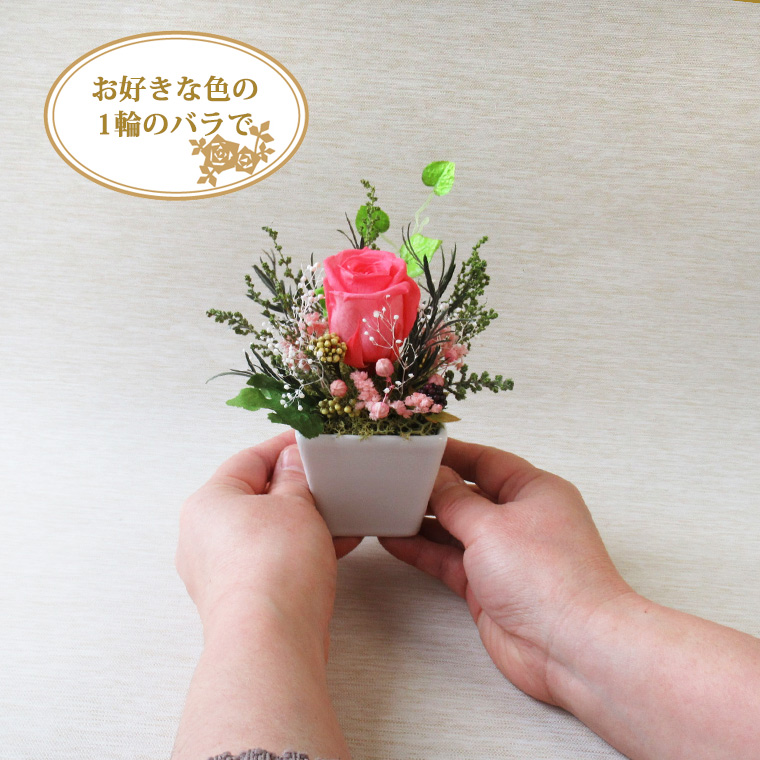 手に持ったサイズ