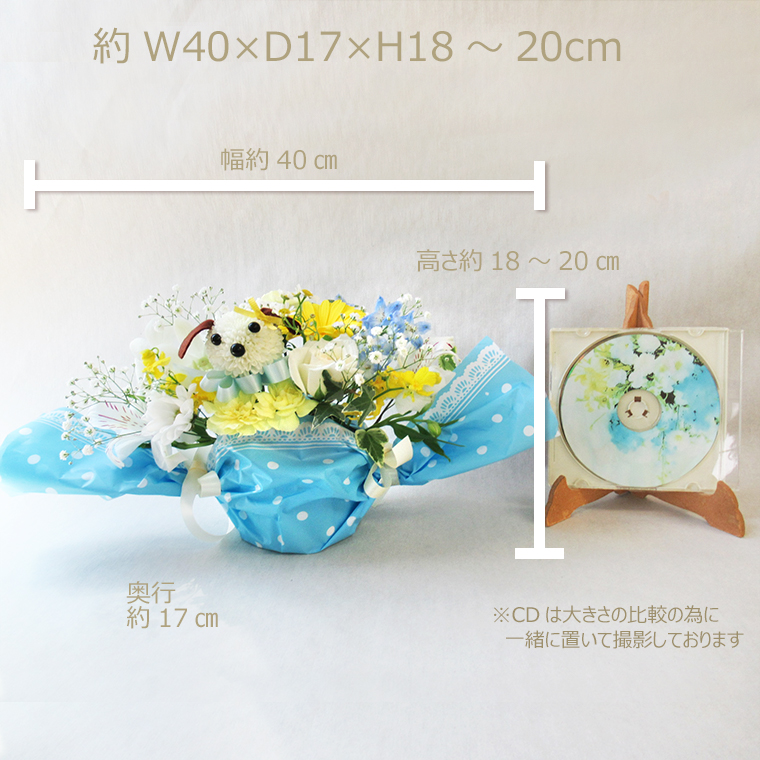 サイズ