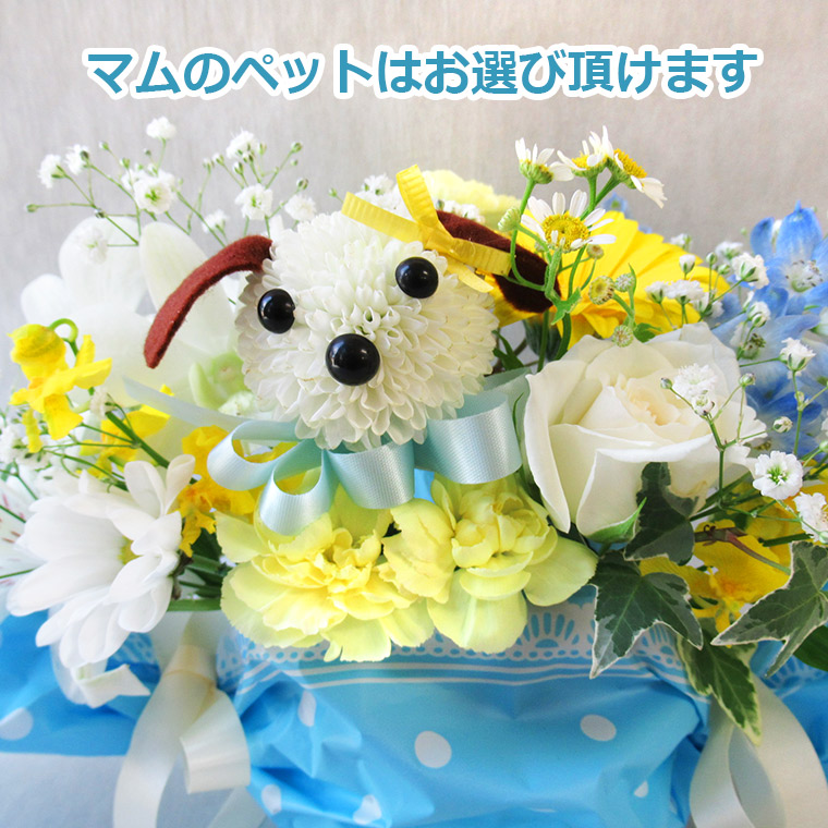 ペットが選べます