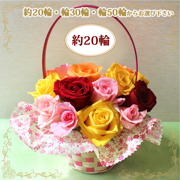 20輪