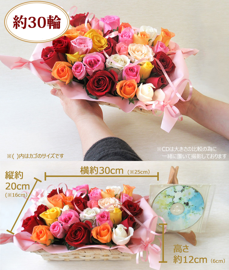 30輪サイズ