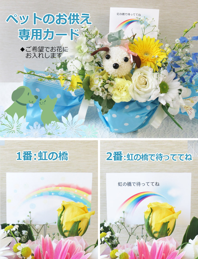 ペットのお供え専用カード